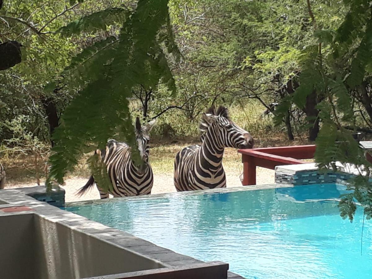 Turaco Lodge Marloth Park Exterior foto