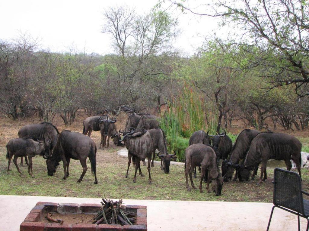 Turaco Lodge Marloth Park Exterior foto