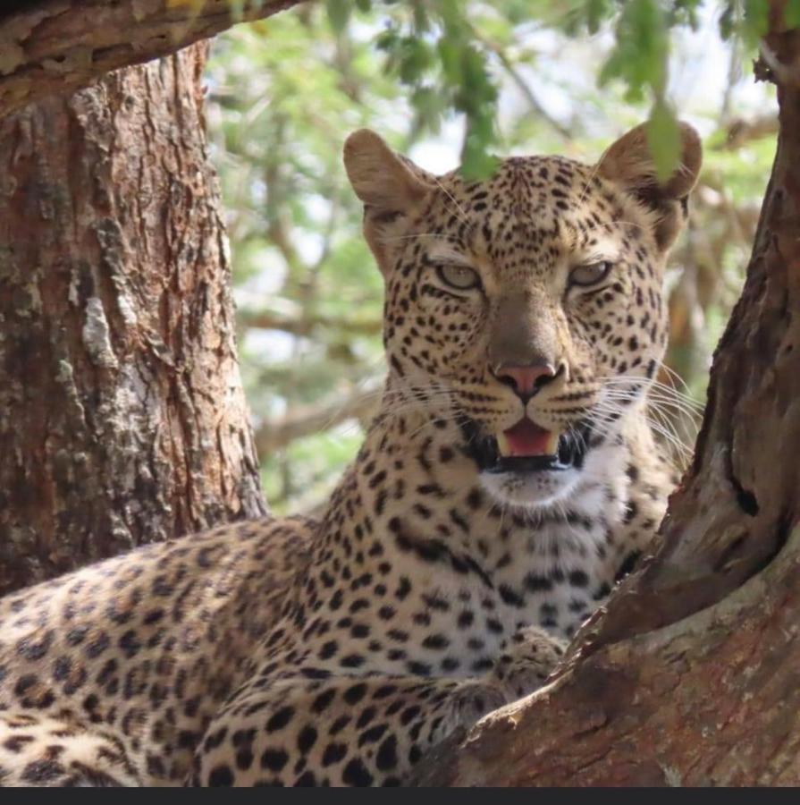 Turaco Lodge Marloth Park Exterior foto