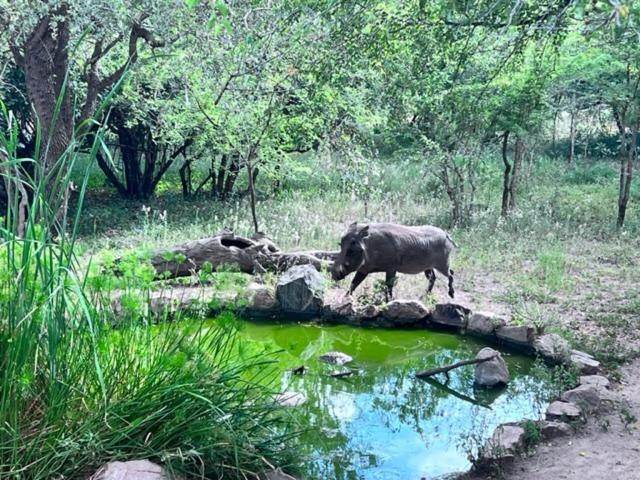 Turaco Lodge Marloth Park Exterior foto