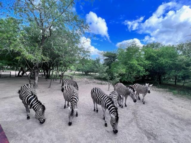 Turaco Lodge Marloth Park Exterior foto